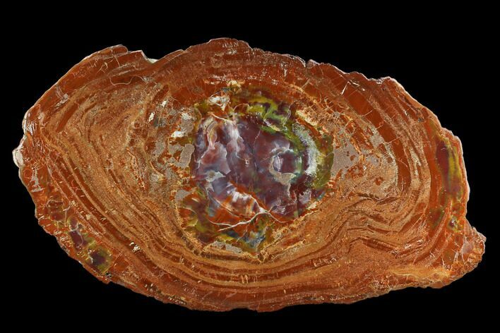 Orange Petrified Wood Round With Purple Center - Arizona #124236